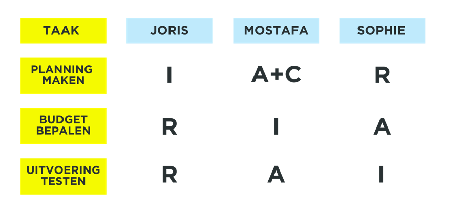 RACI model