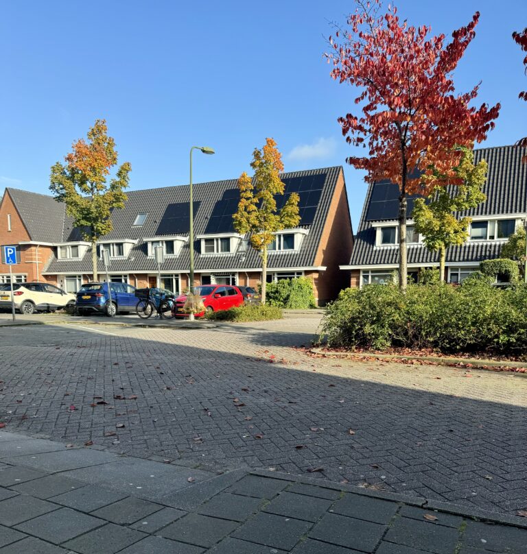 IZA Transformatieproject: De buurt als ecosysteem
