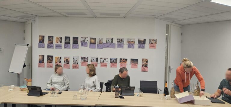 Team project borgen